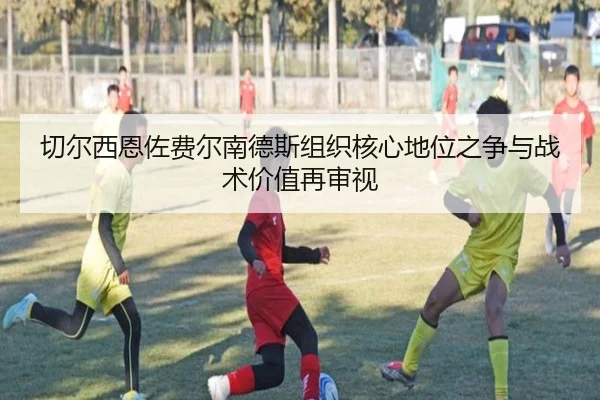 切尔西恩佐费尔南德斯组织核心地位之争与战术价值再审视